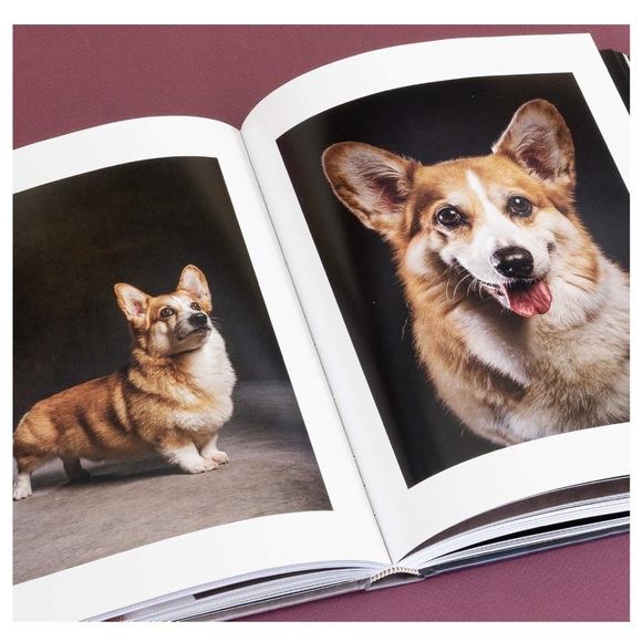 Perfect for all dog lovers! NEW! - Picture 5 of 8